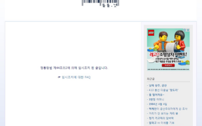 [부당한 임시조치 사례 ③] 하늘에서와 같이 땅에서도 (블로거: deulpul)